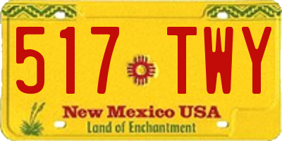 NM license plate 517TWY