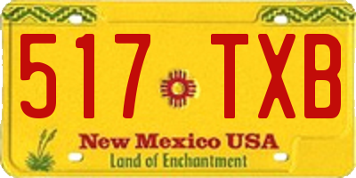 NM license plate 517TXB