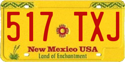 NM license plate 517TXJ