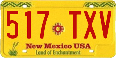 NM license plate 517TXV