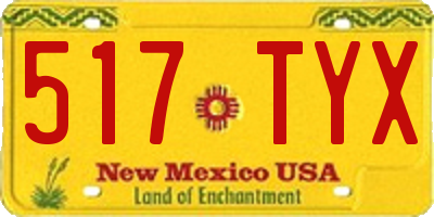 NM license plate 517TYX
