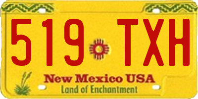 NM license plate 519TXH
