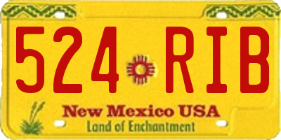 NM license plate 524RIB