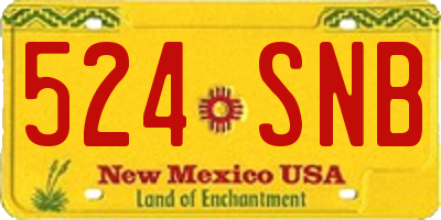 NM license plate 524SNB
