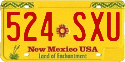 NM license plate 524SXU