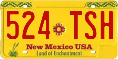 NM license plate 524TSH