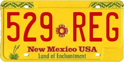 NM license plate 529REG