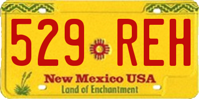 NM license plate 529REH