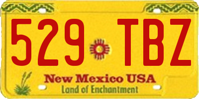NM license plate 529TBZ
