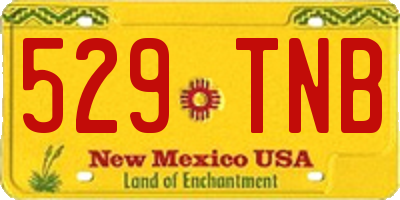NM license plate 529TNB