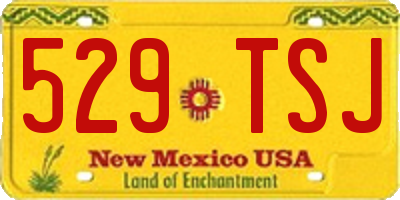 NM license plate 529TSJ