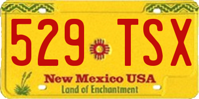 NM license plate 529TSX