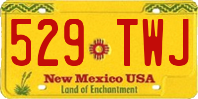 NM license plate 529TWJ