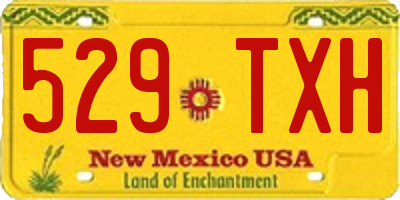 NM license plate 529TXH