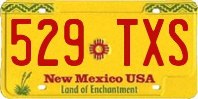 NM license plate 529TXS