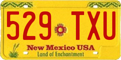 NM license plate 529TXU