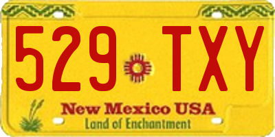 NM license plate 529TXY