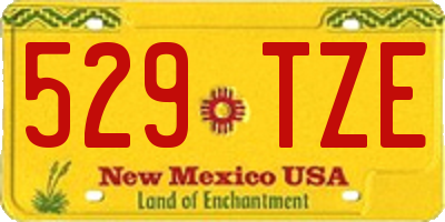 NM license plate 529TZE