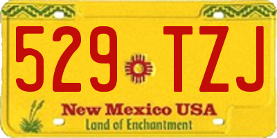 NM license plate 529TZJ
