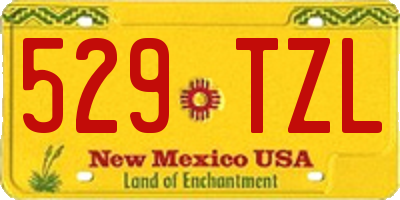 NM license plate 529TZL