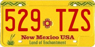 NM license plate 529TZS