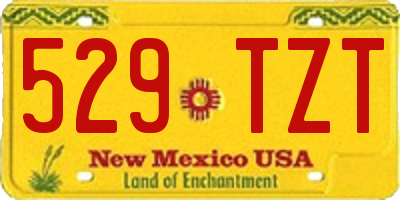 NM license plate 529TZT