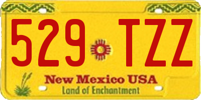 NM license plate 529TZZ