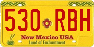 NM license plate 530RBH