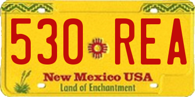NM license plate 530REA