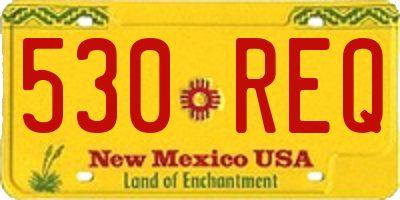 NM license plate 530REQ