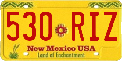 NM license plate 530RIZ