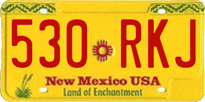 NM license plate 530RKJ