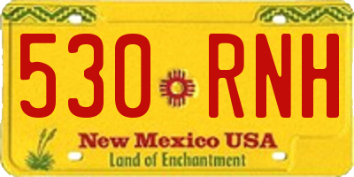 NM license plate 530RNH