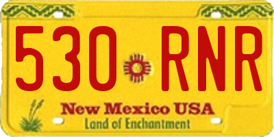 NM license plate 530RNR