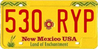NM license plate 530RYP