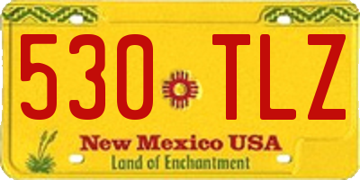 NM license plate 530TLZ