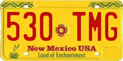 NM license plate 530TMG