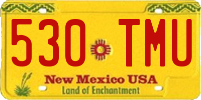 NM license plate 530TMU