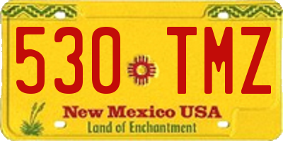 NM license plate 530TMZ