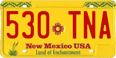 NM license plate 530TNA
