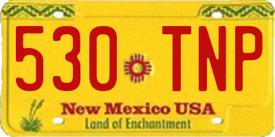 NM license plate 530TNP