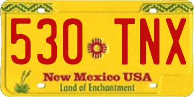 NM license plate 530TNX