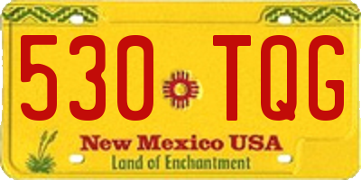 NM license plate 530TQG