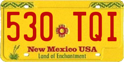 NM license plate 530TQI
