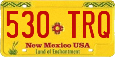 NM license plate 530TRQ