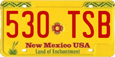 NM license plate 530TSB