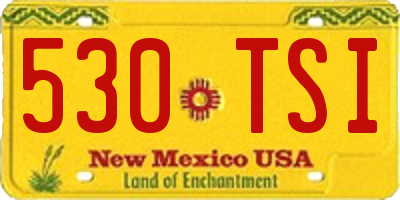 NM license plate 530TSI