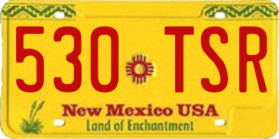 NM license plate 530TSR
