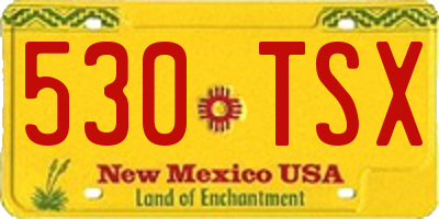 NM license plate 530TSX