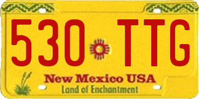 NM license plate 530TTG